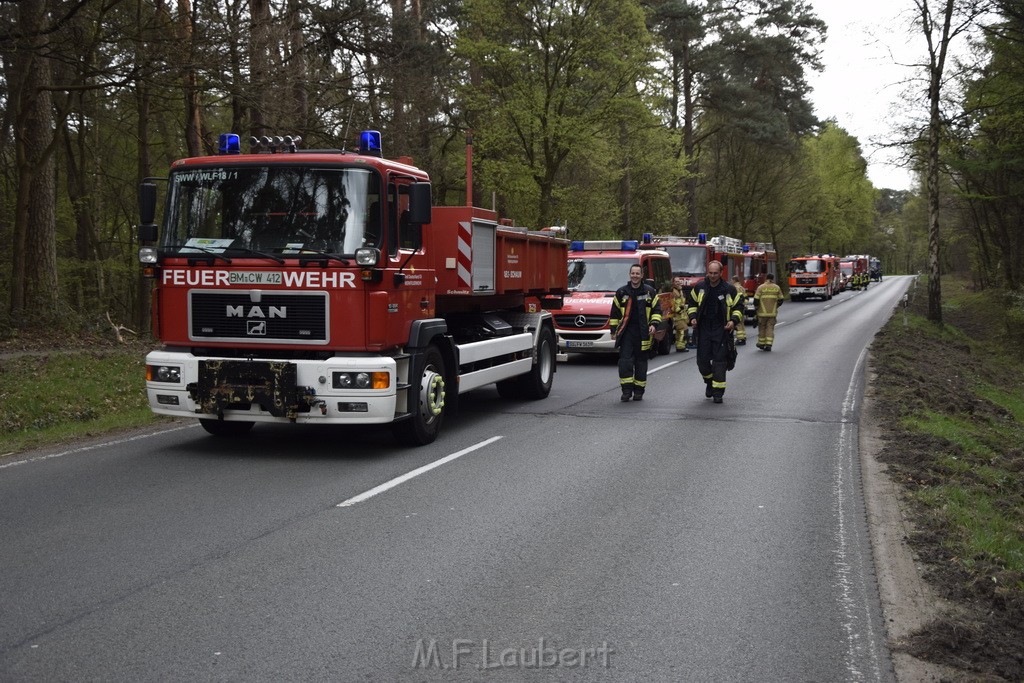 Waldbrand Wahner Heide Troisdorf Eisenweg P246.JPG - Miklos Laubert